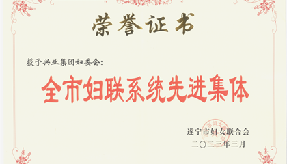 喜報！興業(yè)集團(tuán)婦委會榮獲“全市婦聯(lián)系統(tǒng)先進(jìn)集體”榮譽(yù)稱號