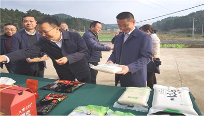 市委常委、政法委書記劉波濤帶隊調(diào)研指導(dǎo)定點幫扶村鄉(xiāng)村振興工作